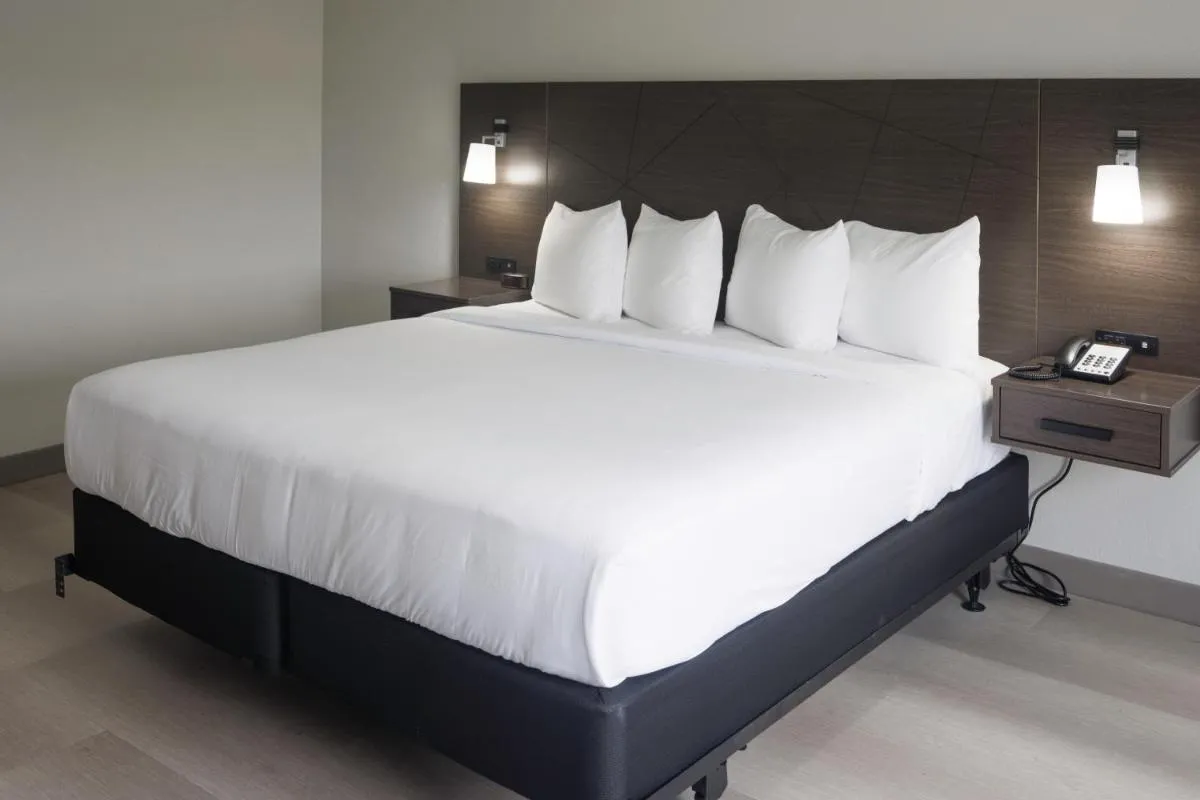 Image 4 of B&B Hotel Miami Airport