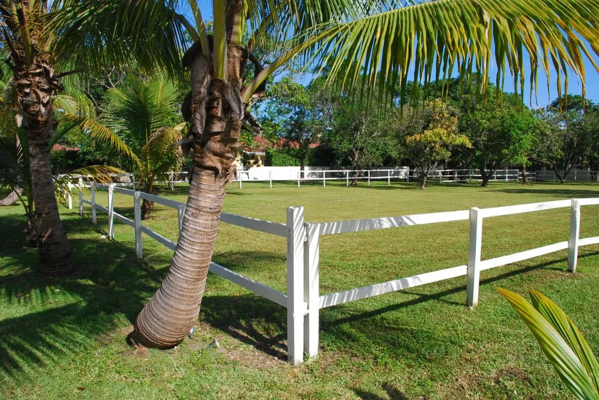 Image 6 of La Finca