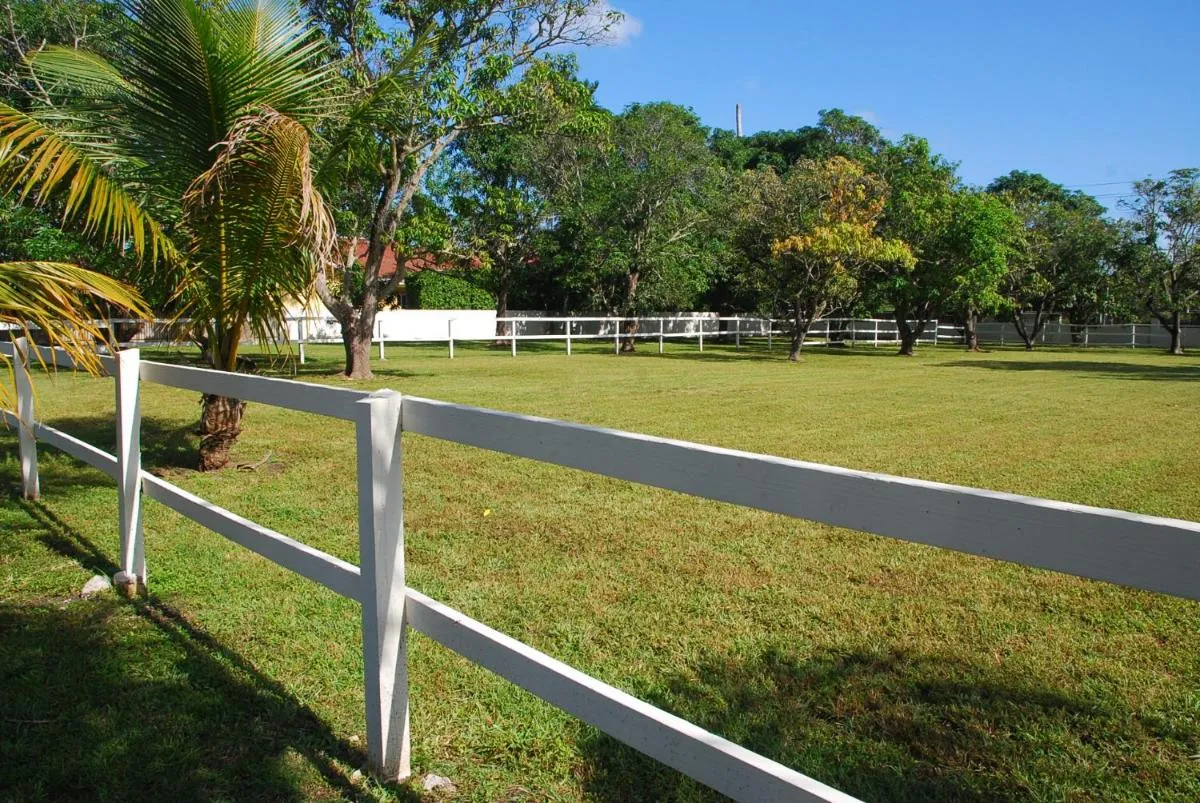Image 3 of La Finca