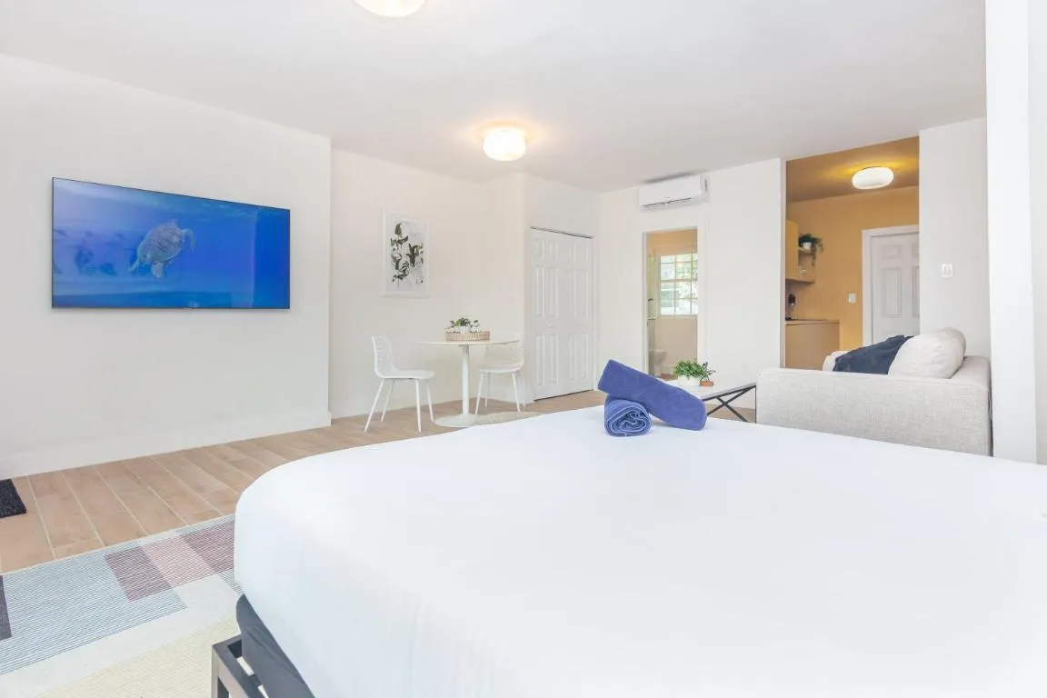 Image of Large Stylish Studio Apartment In El Portal #3